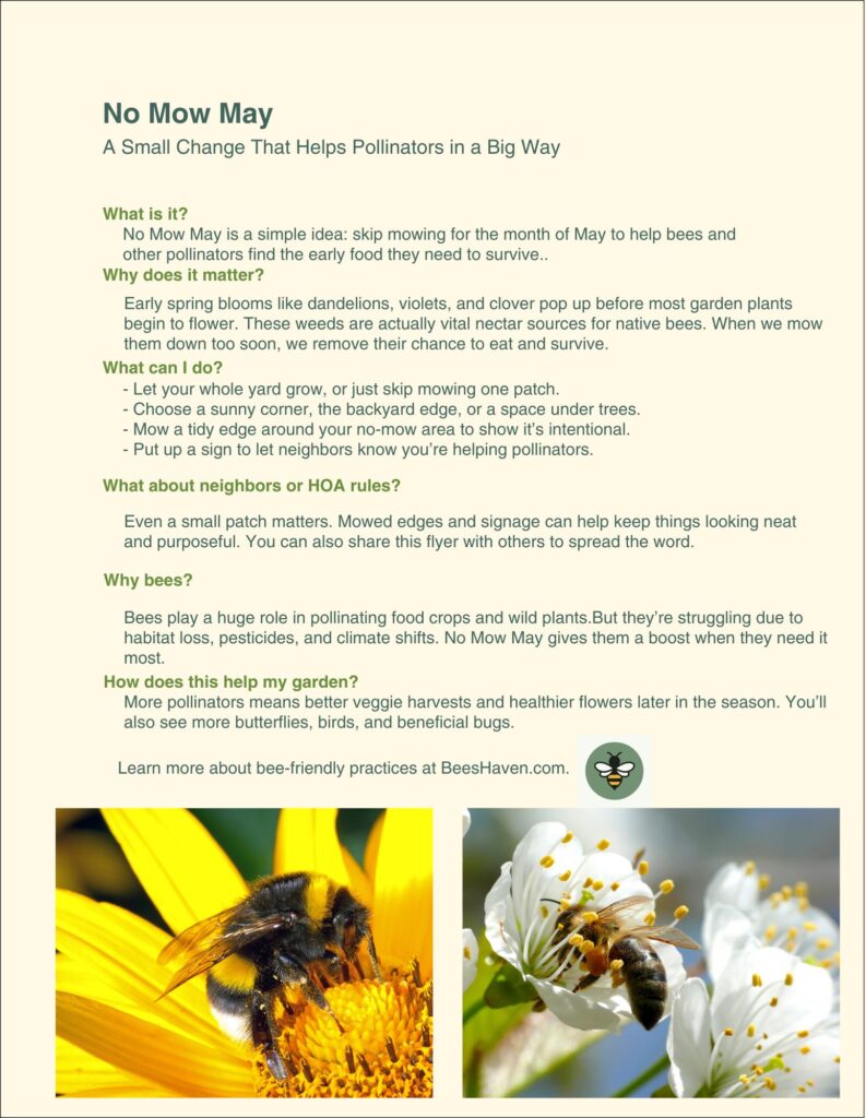 Neighborhood flyer for No Mow May.
