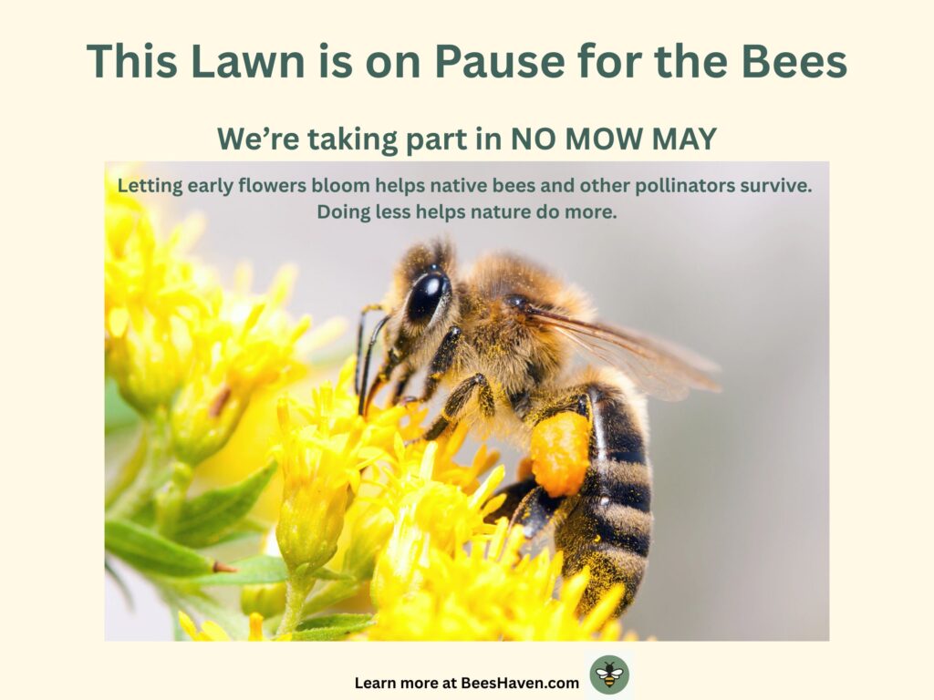 Yard sign for no mow May.