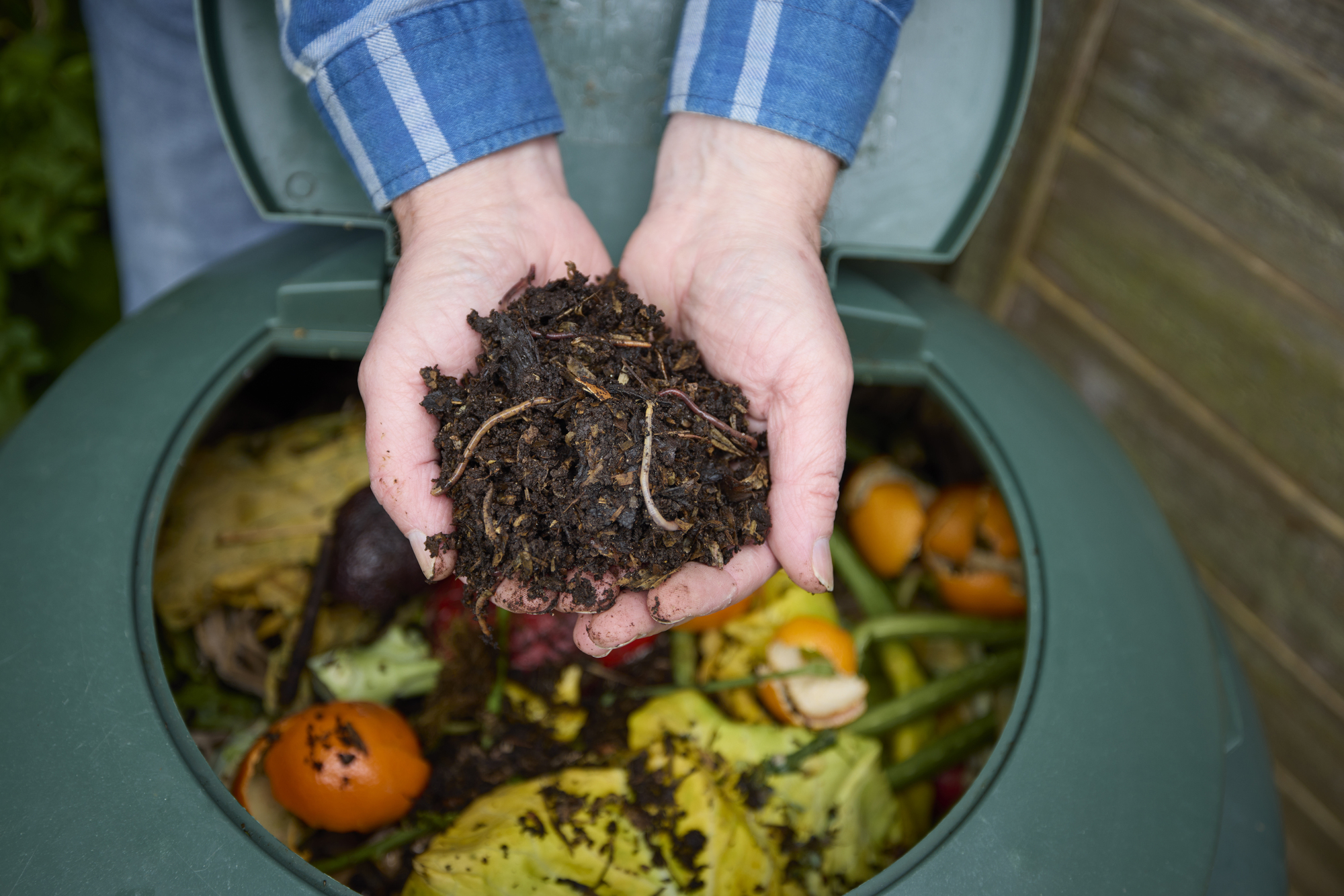 Composted soil in a man's hands.