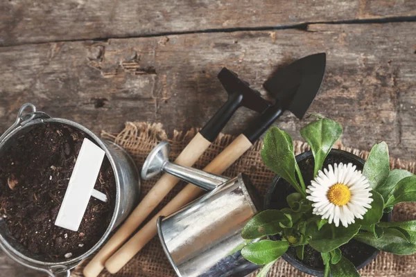A garden tool, shovel, rake, watering can, bucket, and tablet