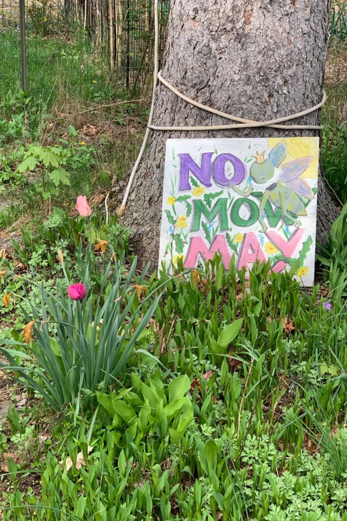 No mow May sign near a tree with wildflowers.