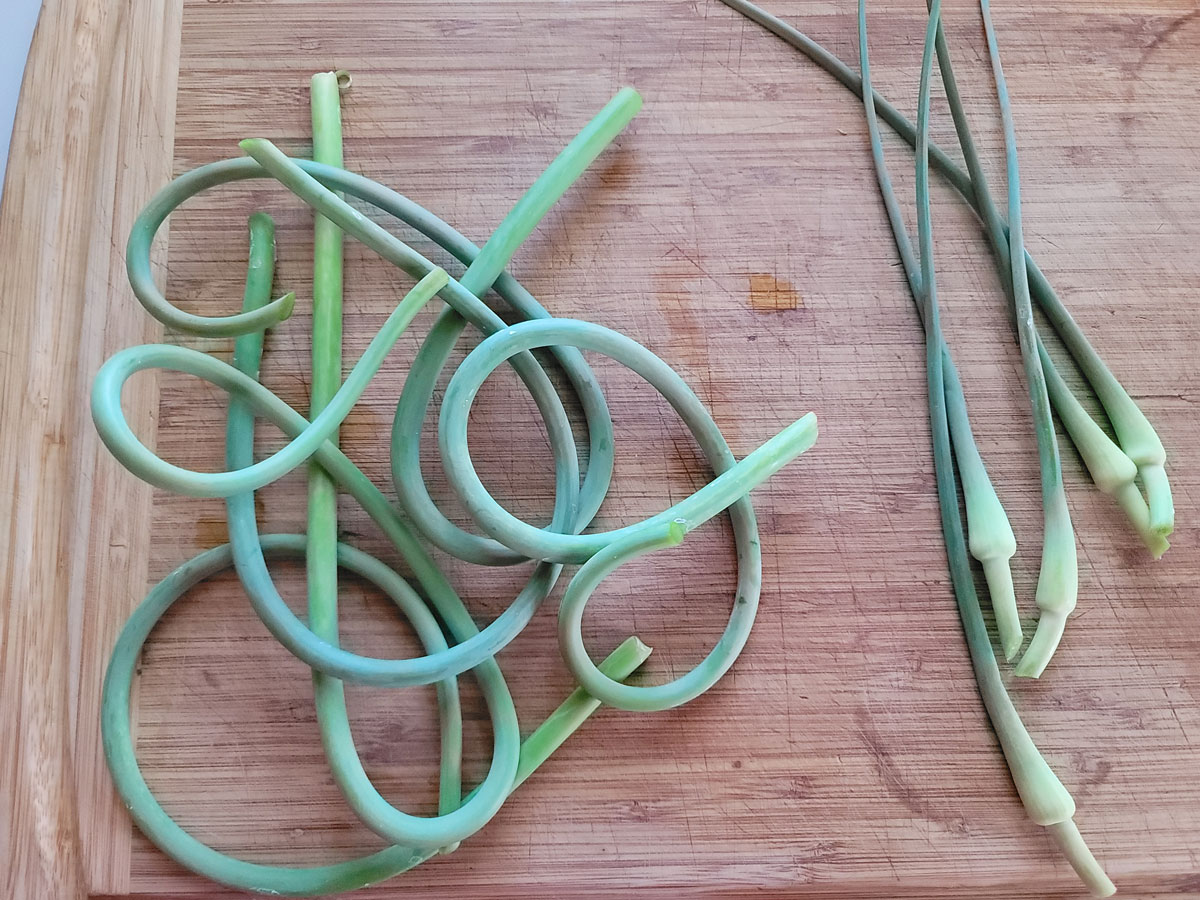 Curly garlic scapes on a cutting board.