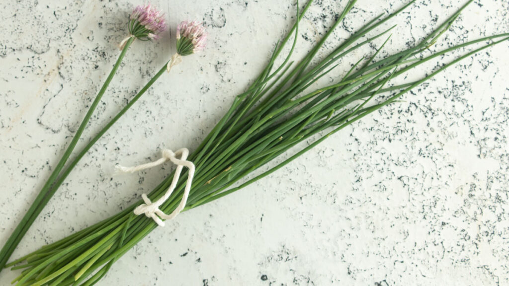 Chive leaves bundled with kitchen twine next to chive flowers.
