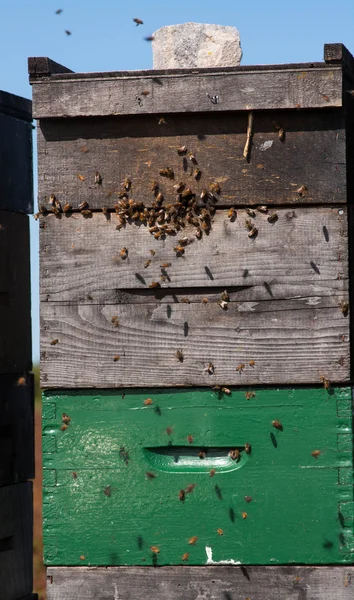 Bee houses.