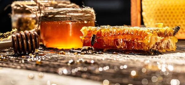 Macro photo of a bee hive honeycomb
