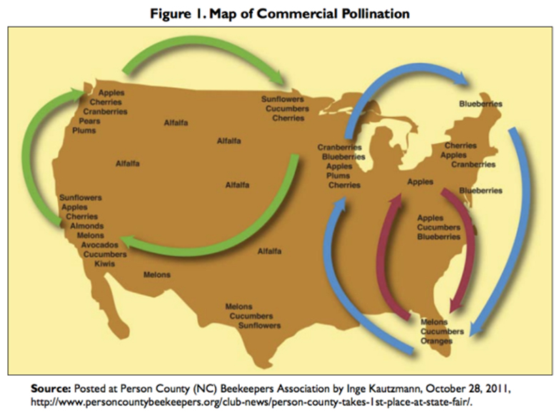 Map of Commercial Pollination Routes for Migratory Beekeeping.