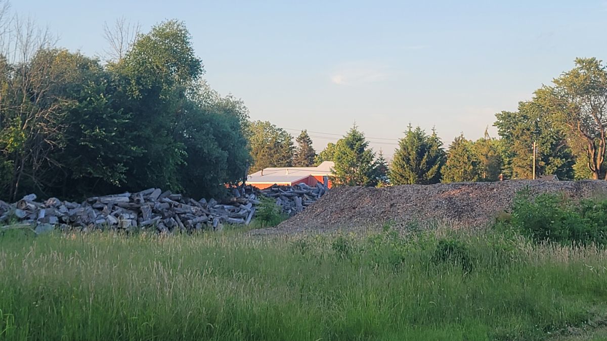 the restoration area at Bees Haven showing huge pile of woodchips and piles of large logs.