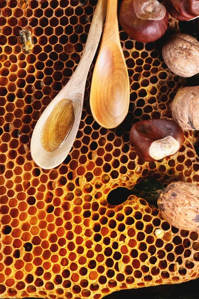 Wooden spoons and nuts on honeycomb.