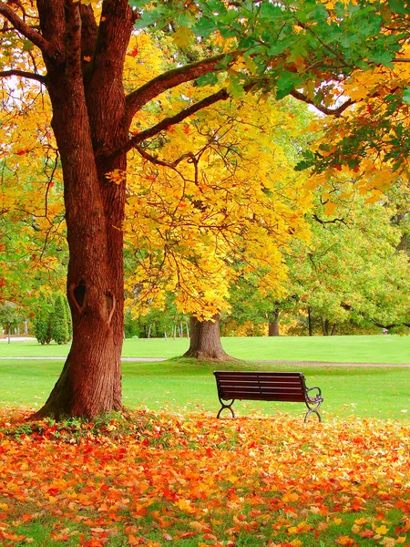 Autumn in Helsinki.