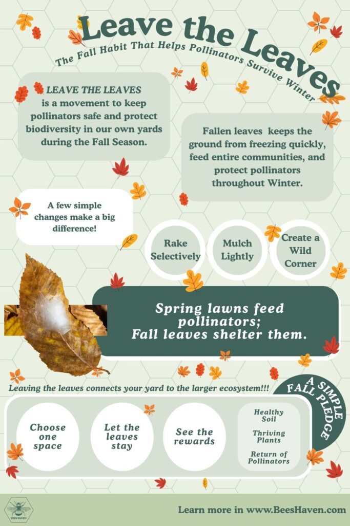 Flyer for "Leave the Leaves"