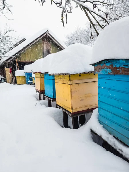 Several colorful homes for wintering bees.