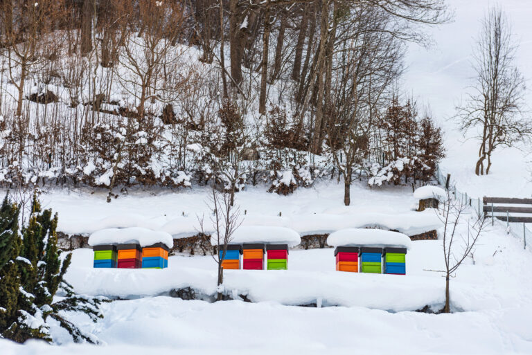 Colorful beehives in the snow.