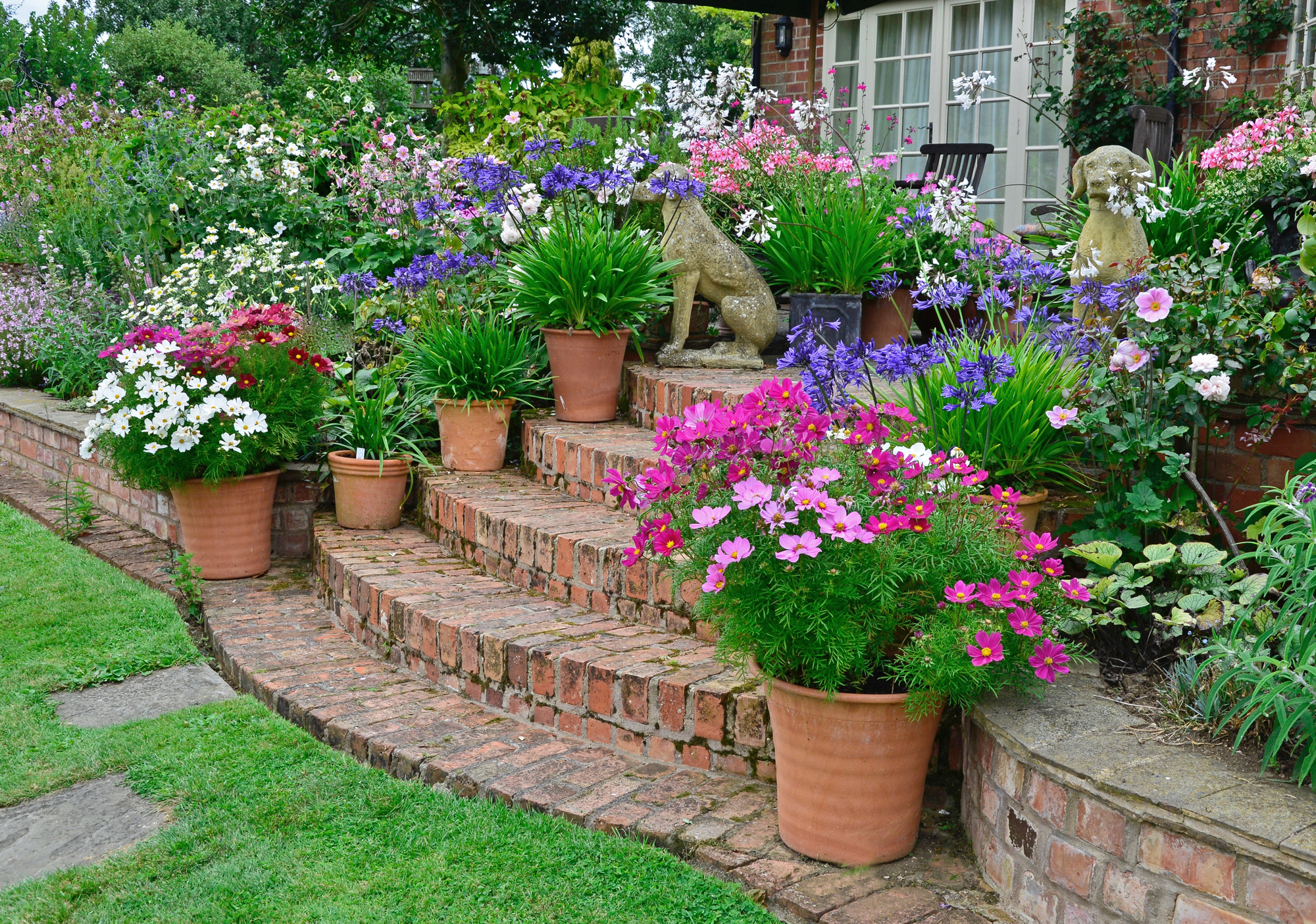 Brick steps with container gardens.