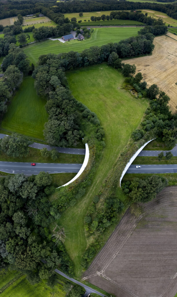 Aerial photo of a wildlife crossing over a highway.