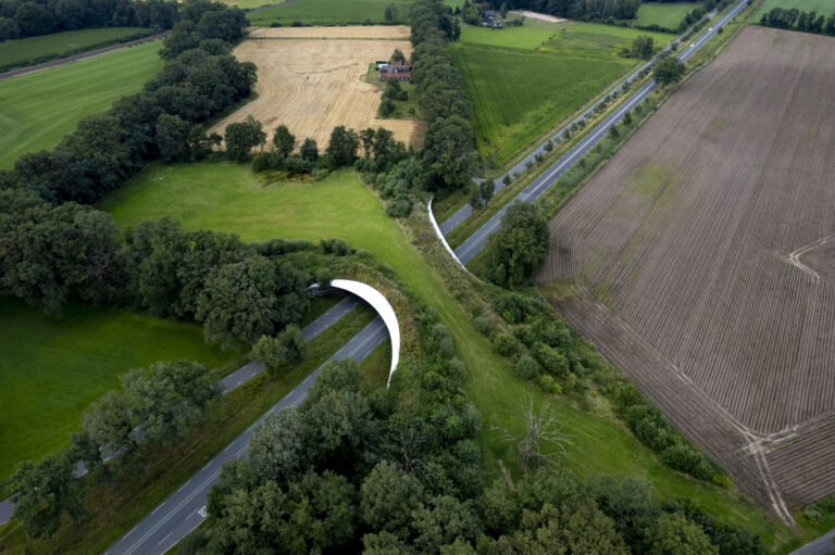 Aerial photo of a wildlife crossing over a highway.