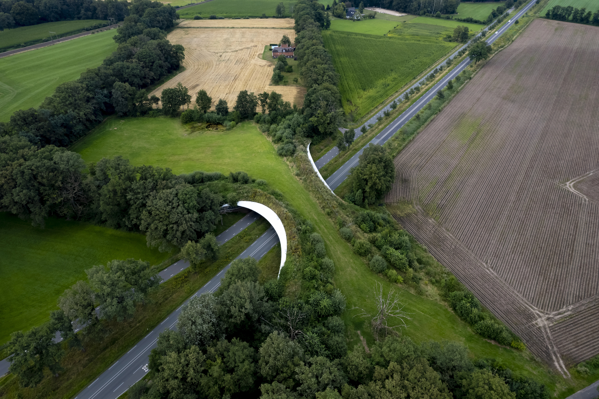 Aerial photo of a wildlife crossing over a highway.