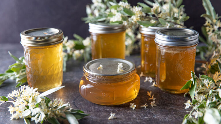 Various jars of yellow jelly with branches of flowers.