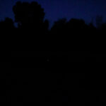 Nighttime shot of fireflies in a large field.