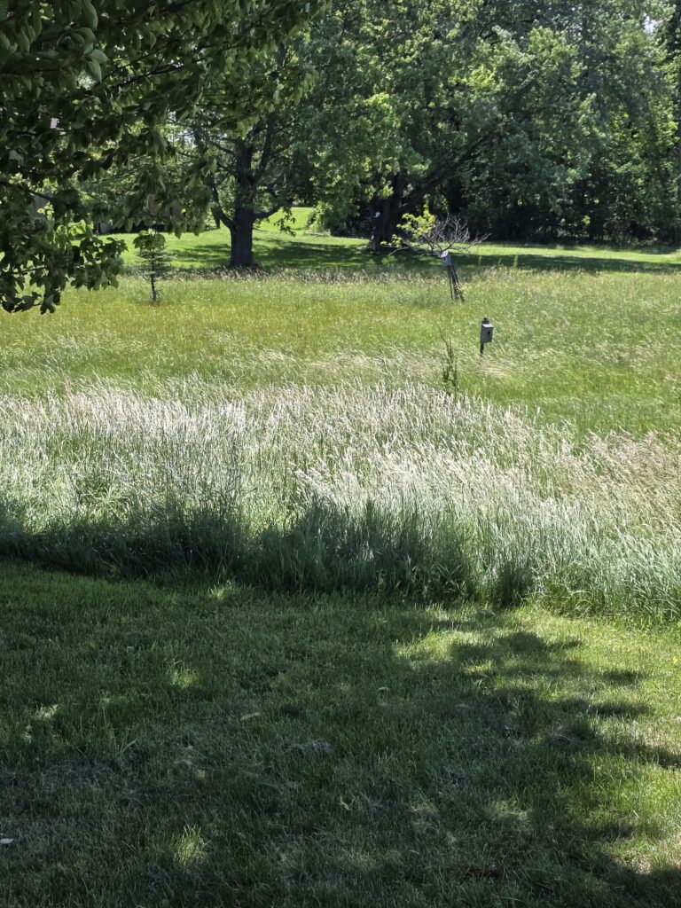 Two bluebird houses in a field.