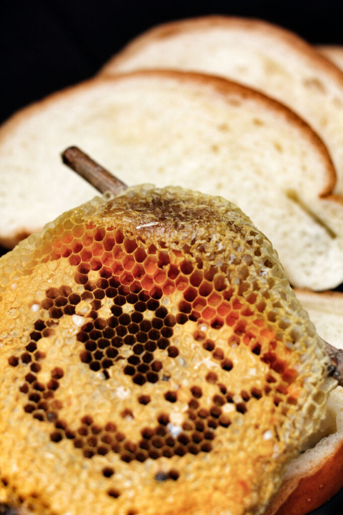 Bee bread inside of honeycomb showing different colored pollen.