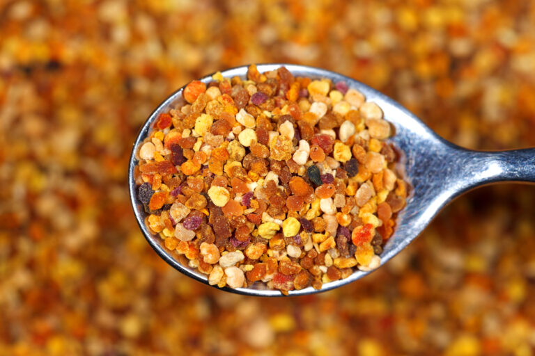 Bee bread pellets on a spoon.