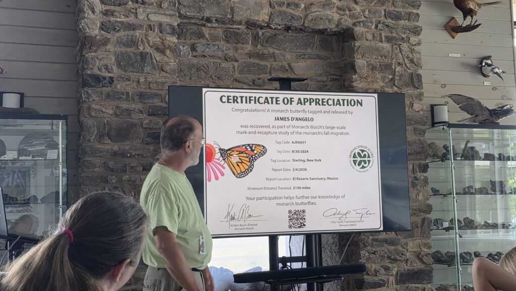 Certificate of appreciation from Monarch Watch for a butterfly tagged at Sterling, NY,