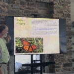 Radio tagging monarchs presentation slide.